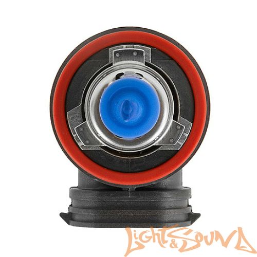 MTF Palladium H8 12V 35W Галогенные лампы (2шт)